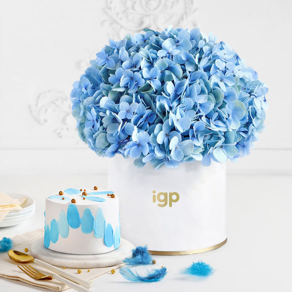 Blue Beauty Bliss