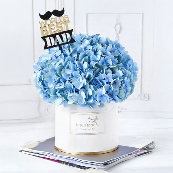 Blue Beauty for Dad
