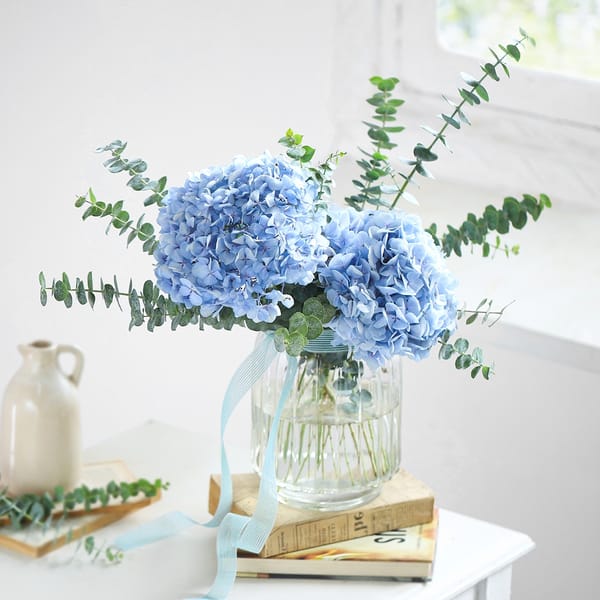 Blue Harmony Hydrangea Arrangement