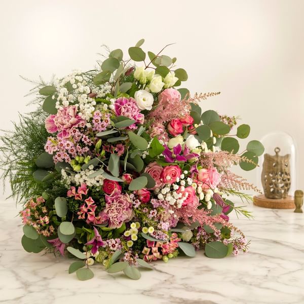 Bonheur intense - Intense happiness