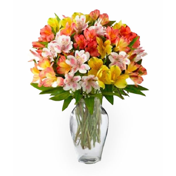 Bouquet of Alstroemeria I