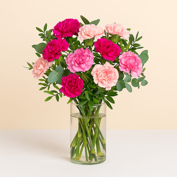 Bouquet of carnations