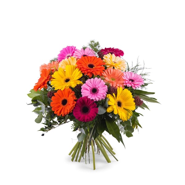 Bouquet of multicoloured Gerbera Daisies