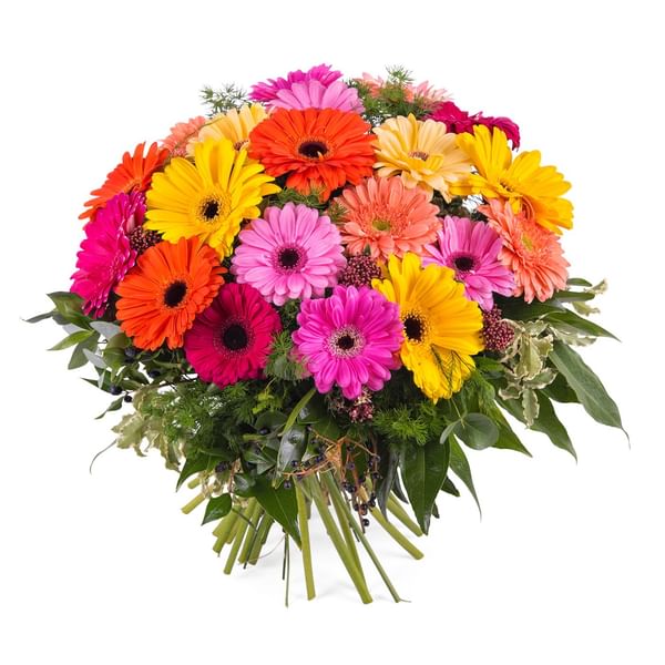 Bouquet of multicoloured Gerbera Daisies