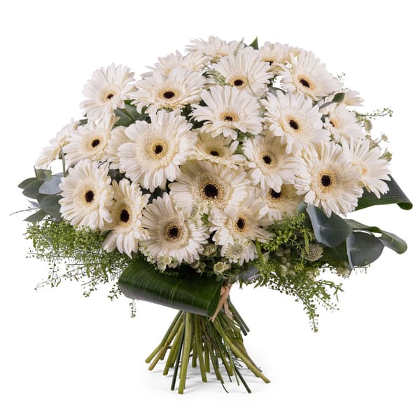 Bouquet of White Gerbera Daisies