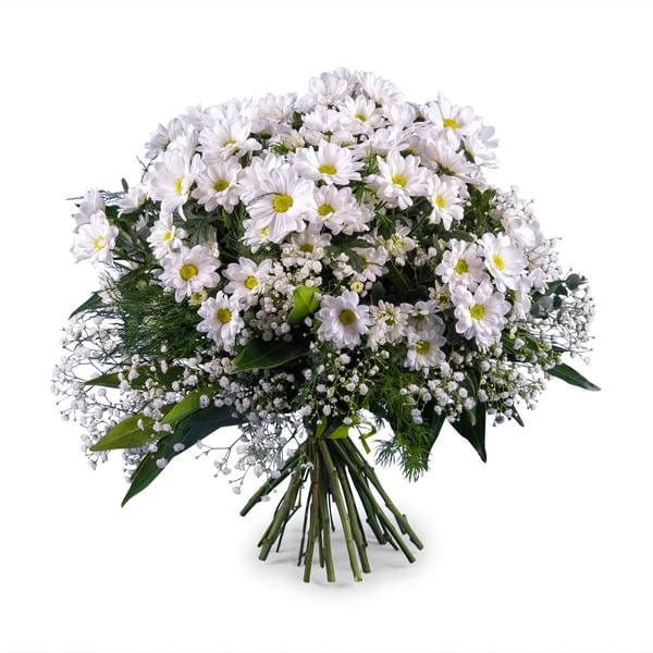 Bouquet of White Margaritte Daisies