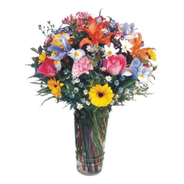 Bright and Beautiful