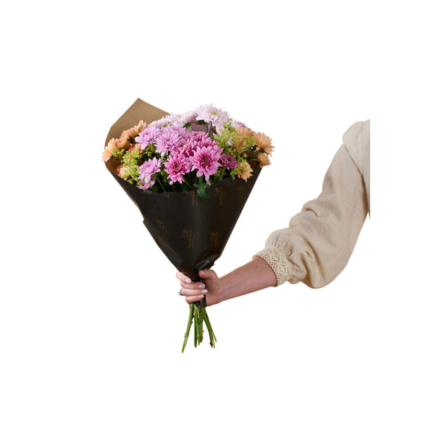 Chrysanthemum 250321