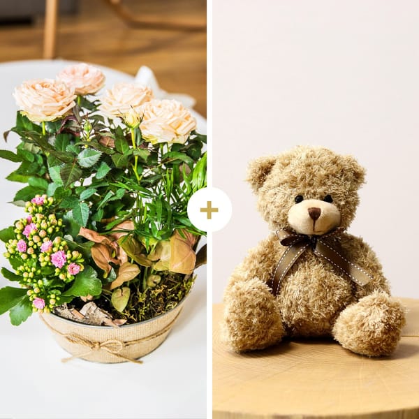 Coin de paradis et ourson - Paradise and teddy bear