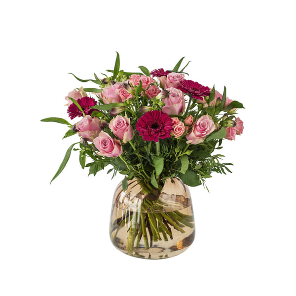 Congratulation 910523