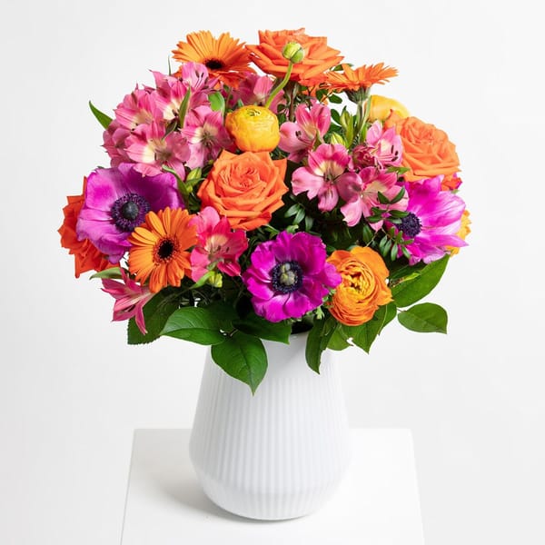 First Rays of Sunshine