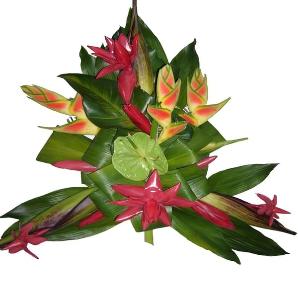 Funeral Arrangement