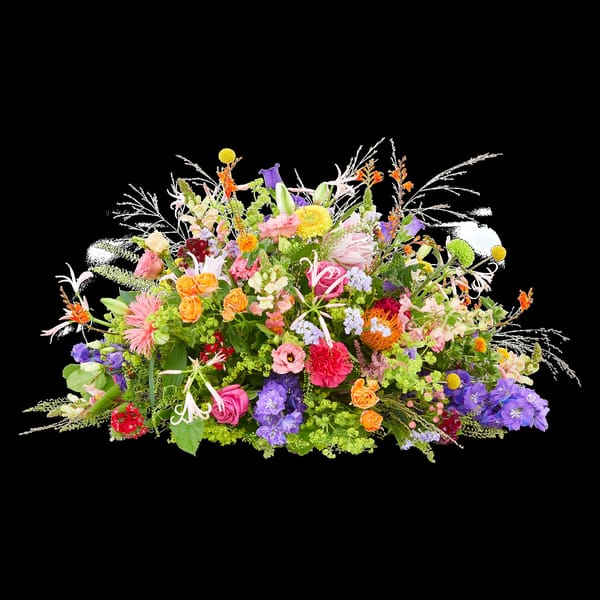 Funeral - Colour splendor