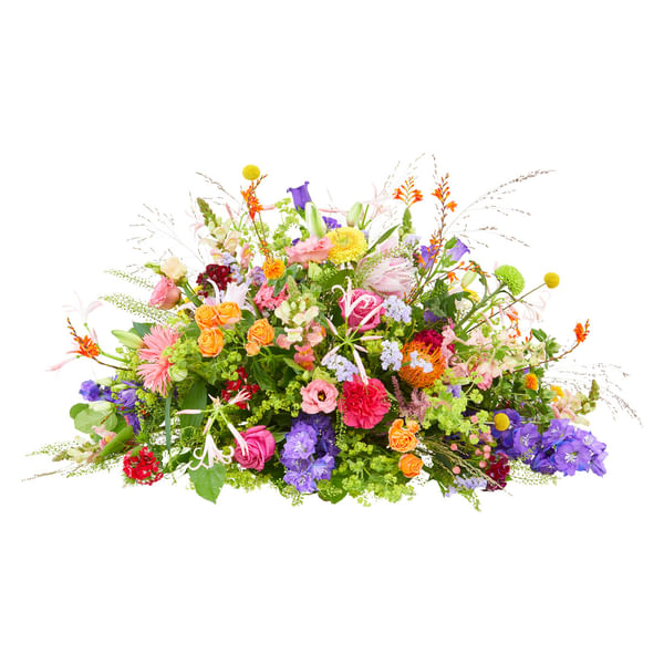Funeral - Colour splendor