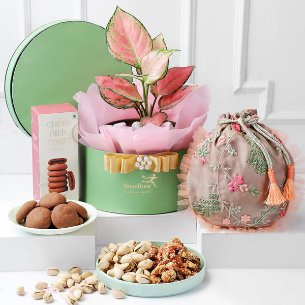 Indulgence Galore Hamper