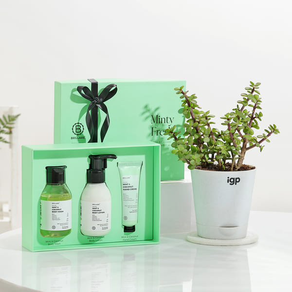 Minty Fresh Body Care And Jade Plant Combo For Men