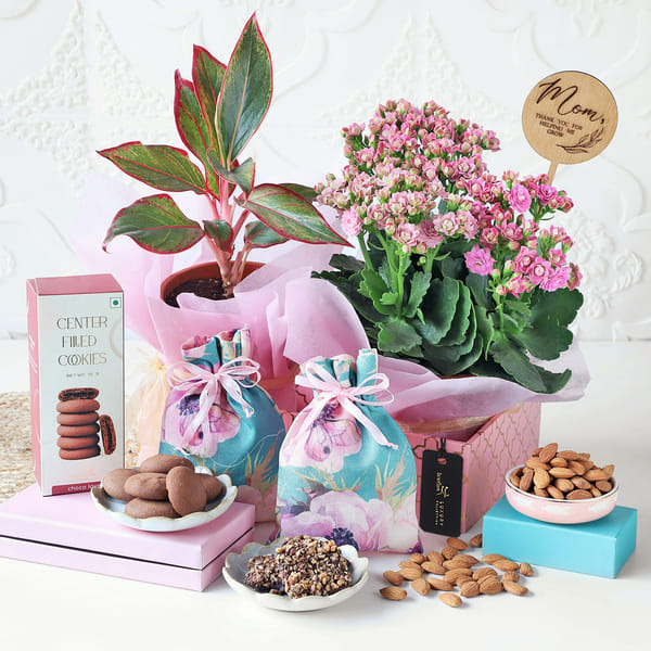 Mother Nature Gift Basket