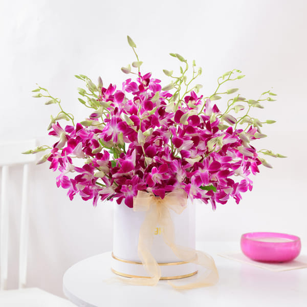 Mother's Day Purple Orchid Elegance