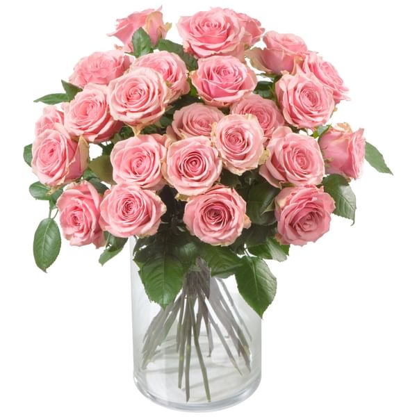 Pink Roses