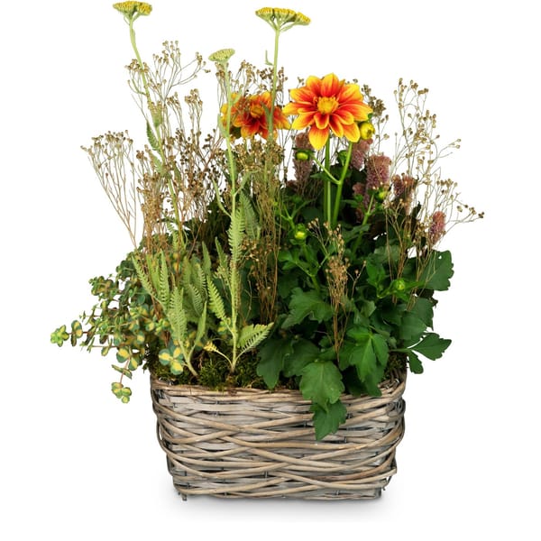 Planter In Gratitude for the cemetery