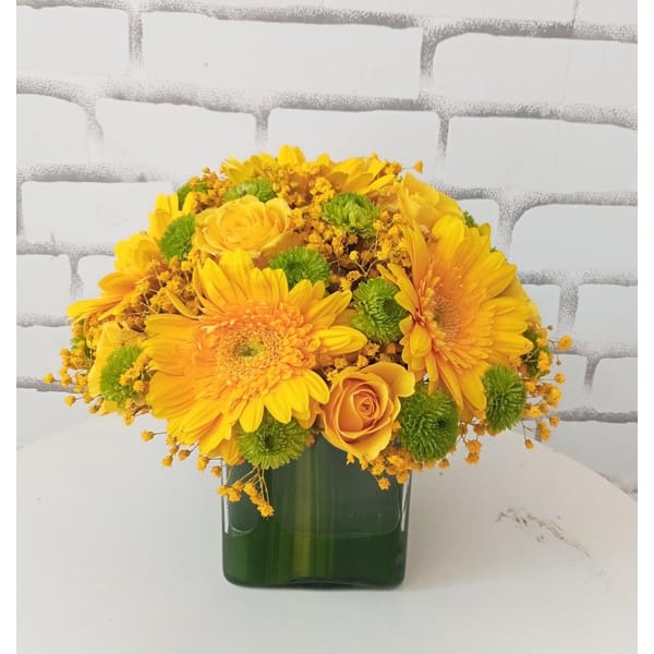 Rolex Watch New Arrangment 4x4