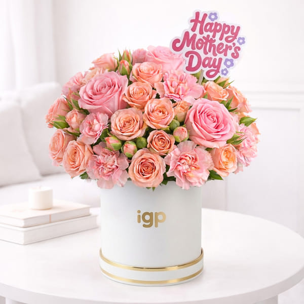 Rose & Carnation Arrangement For Mother's Day
