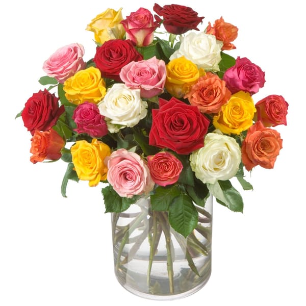 Roses Allure without vase
