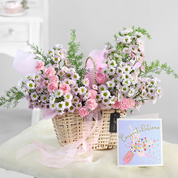 Seeds of Inspiration