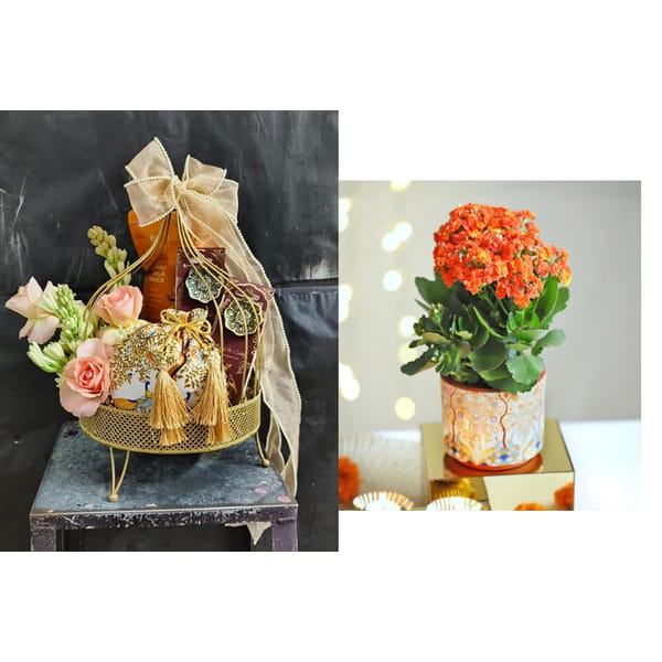 Sekura 2024 Diwali Hamper