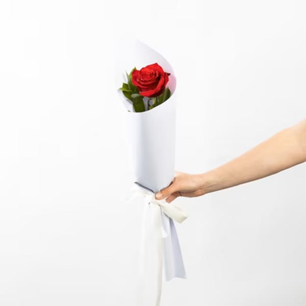 Single Red Rose