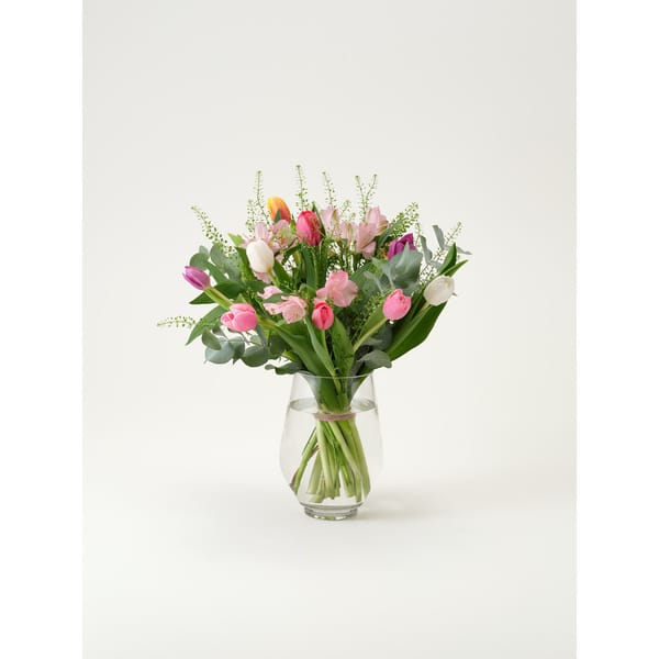 Spring tulips