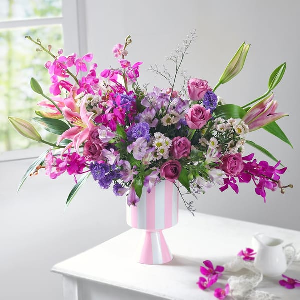 The Elderberry Empress