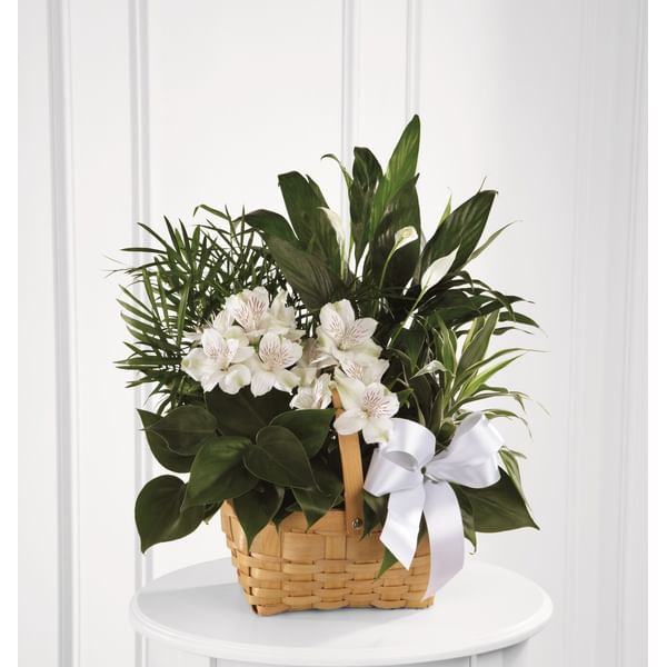 The FTD Peace And Serenity Dishgarden