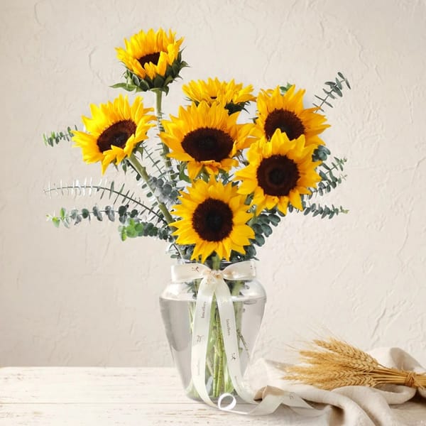 The Sunflower Edit