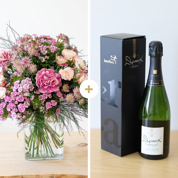 Velours et champagne - Velvet and champagne