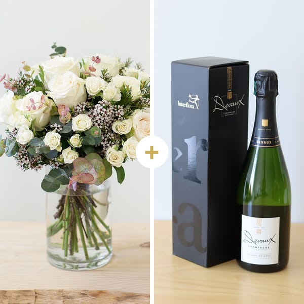 Vert coton et champagne - Green coton and champagne