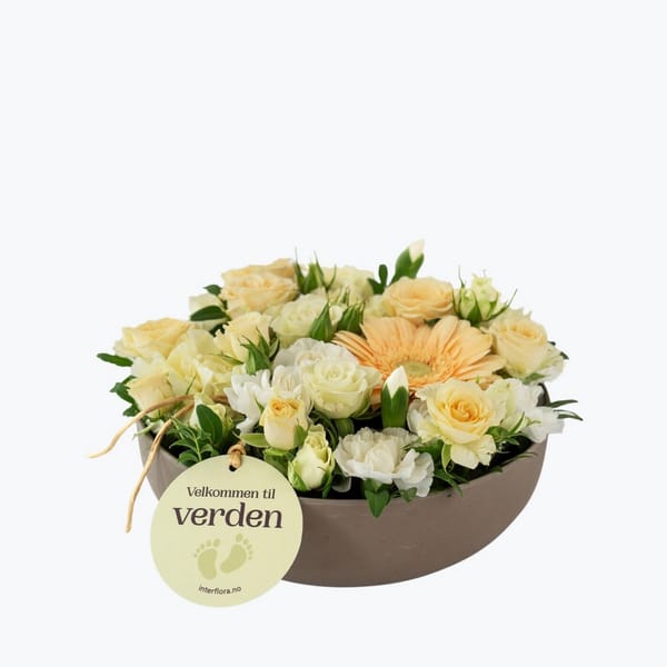 Welcome to this world with tag 242694