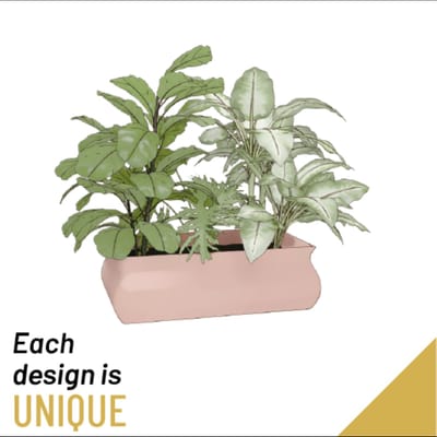 Arrangement of Plants: Order Flowers Onl...