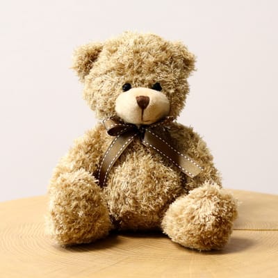 Ourson Harry: Order Flowers Online | Int...