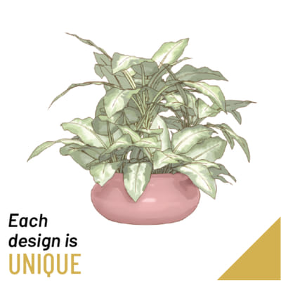 Single Plant: Order Flowers Online | Int...