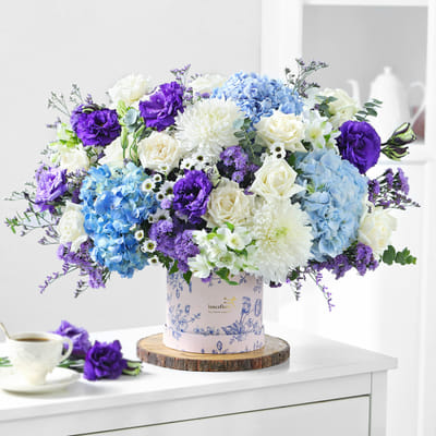 Under the Starlight: Order Birthday Flow...