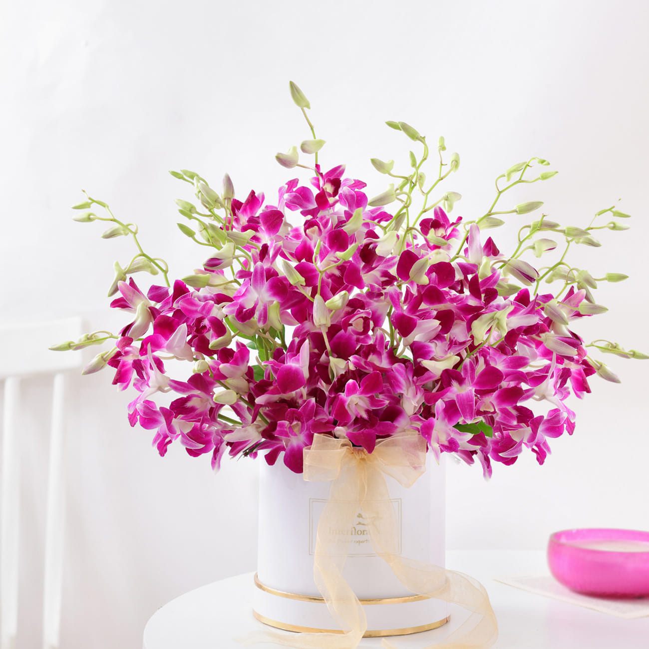 Purple Orchid Elegance