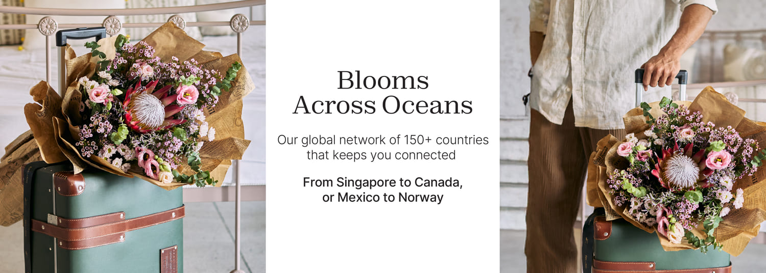 international banner