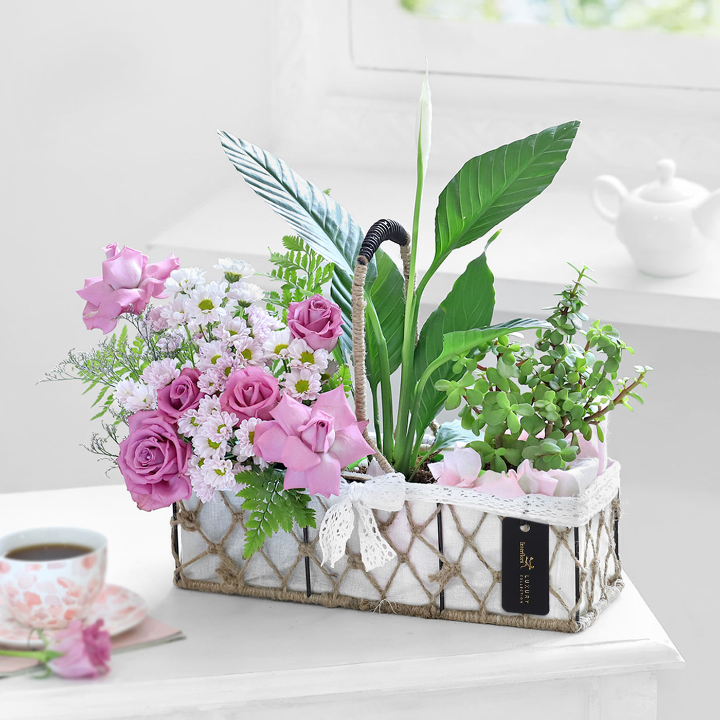Plant Gift Hamper for wife